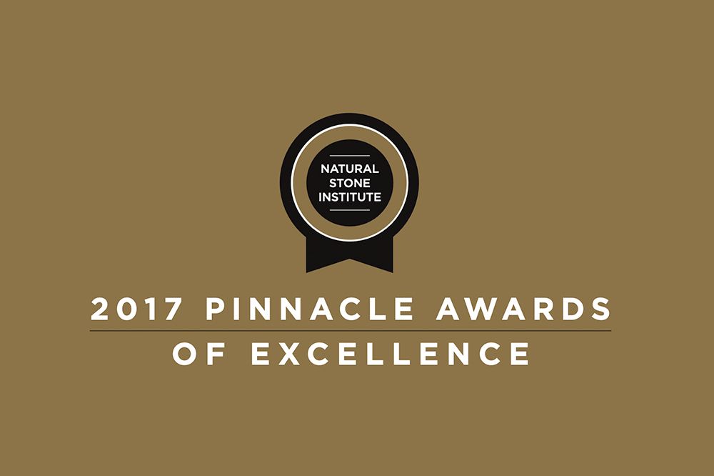 2017 pinnacle awards of excellence Buckingham Elementary School in Dillwyn Virginia